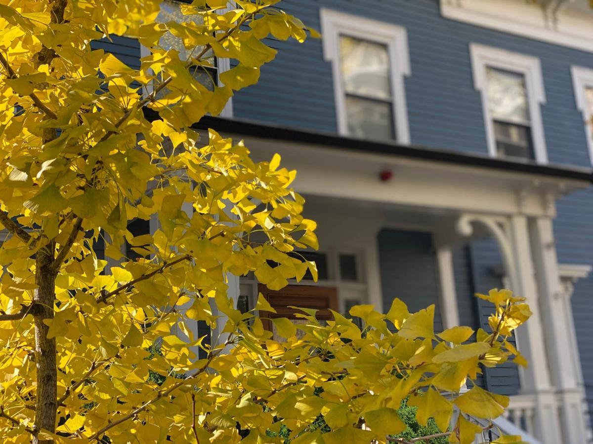 Ginkgo House On Harvard Cambridge Bagian luar foto