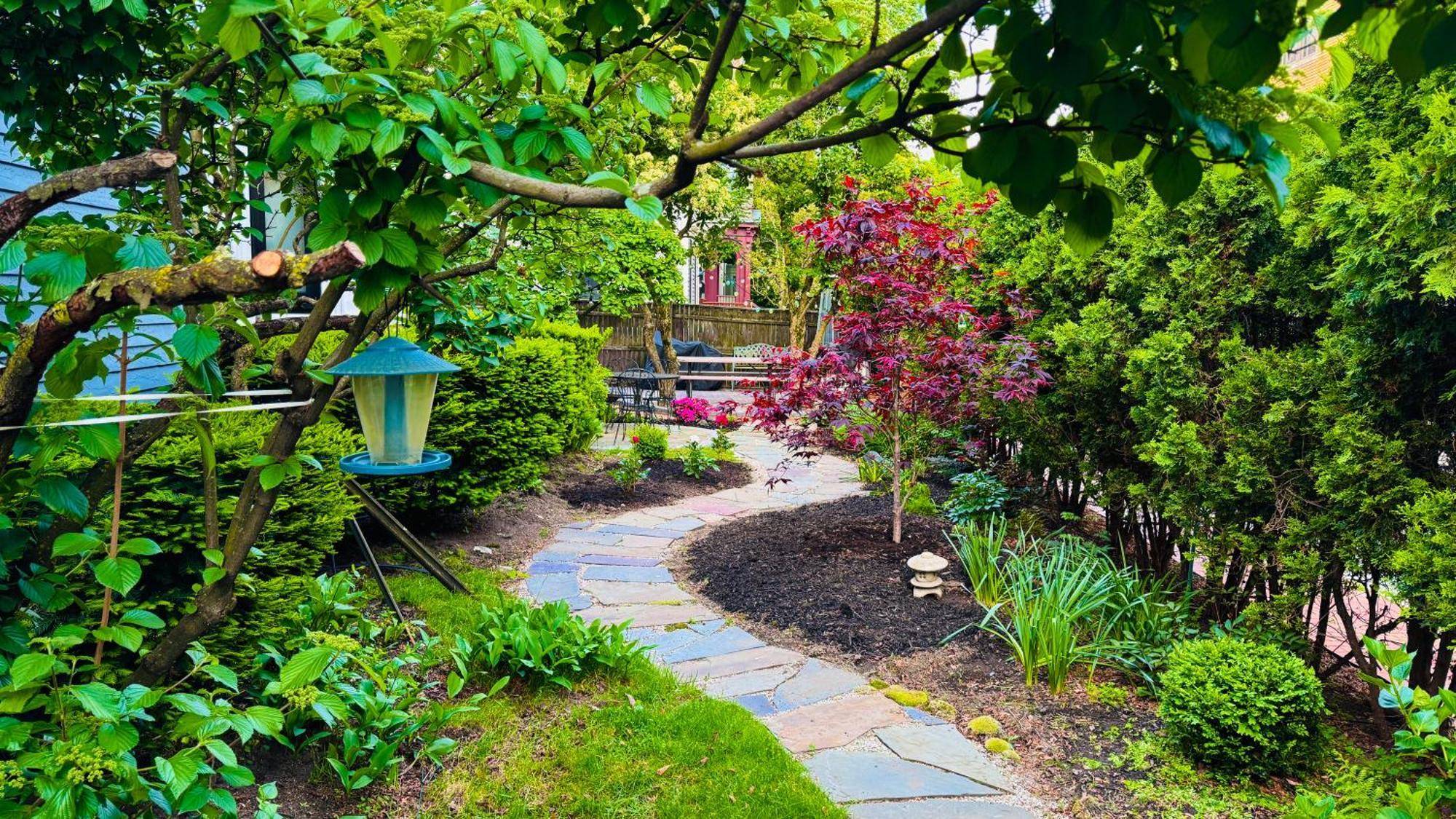 Ginkgo House On Harvard Cambridge Bagian luar foto